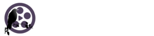 First Bird Logo ideas